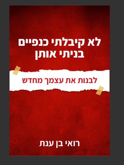 לא קיבלתי כנפיים, בניתי אותן